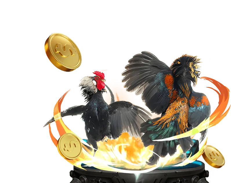 Khuyến mãi đá gà